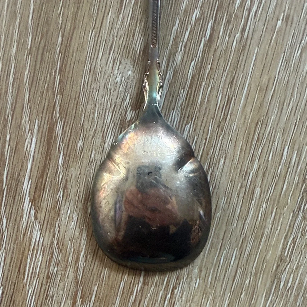 International deep silver Vintage Spoon patina